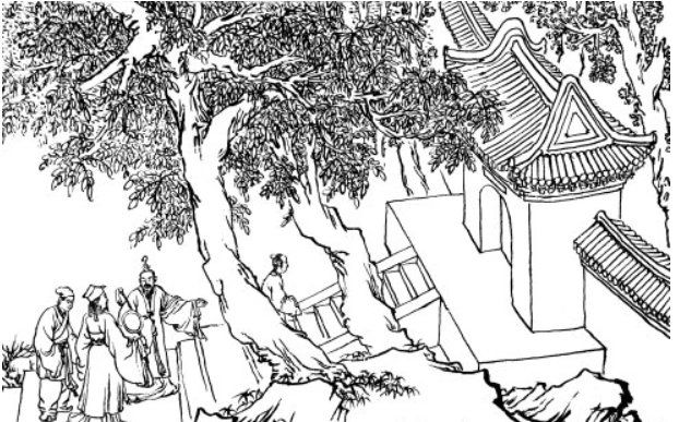 民间故事蛇仙讨债,民间故事供奉蛇仙