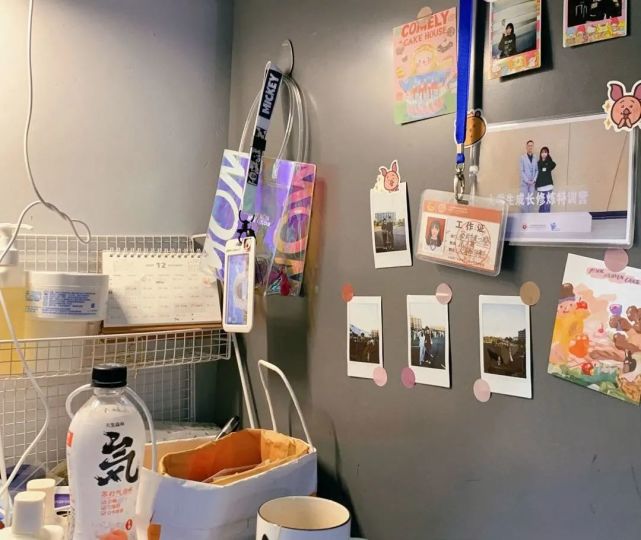 广东岭南职业技术学院2024分数,广东岭南职业技术学院志愿填报