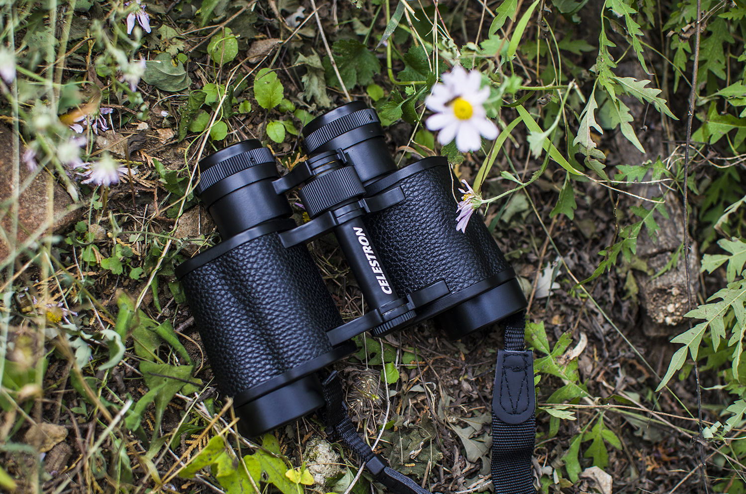 星特朗天文望远镜1100效果,星特朗望远镜4mm非球面目镜