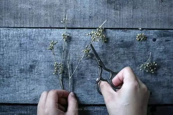 深山老林自建豪华木屋隐居生活,90后小情侣隐居深山建别墅仅花6万