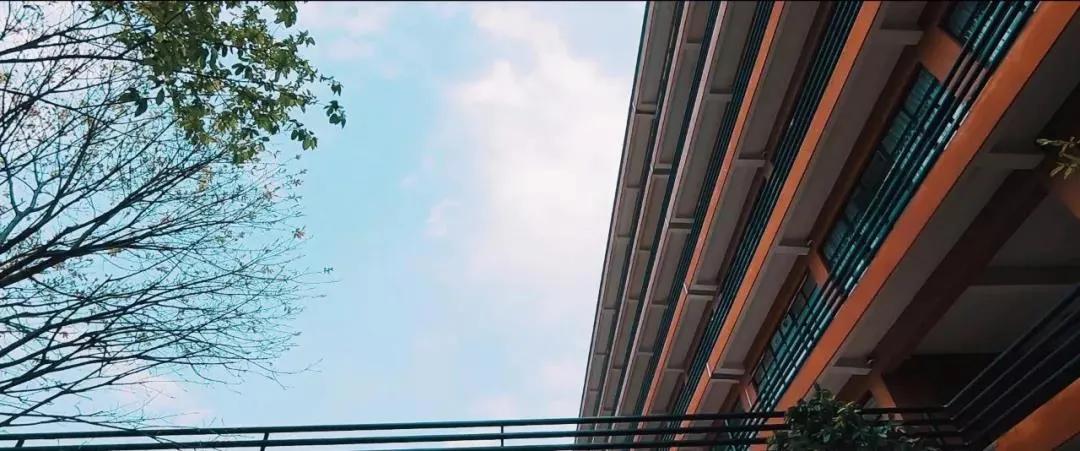 九大美院校园风景,中国九大美院校园风采