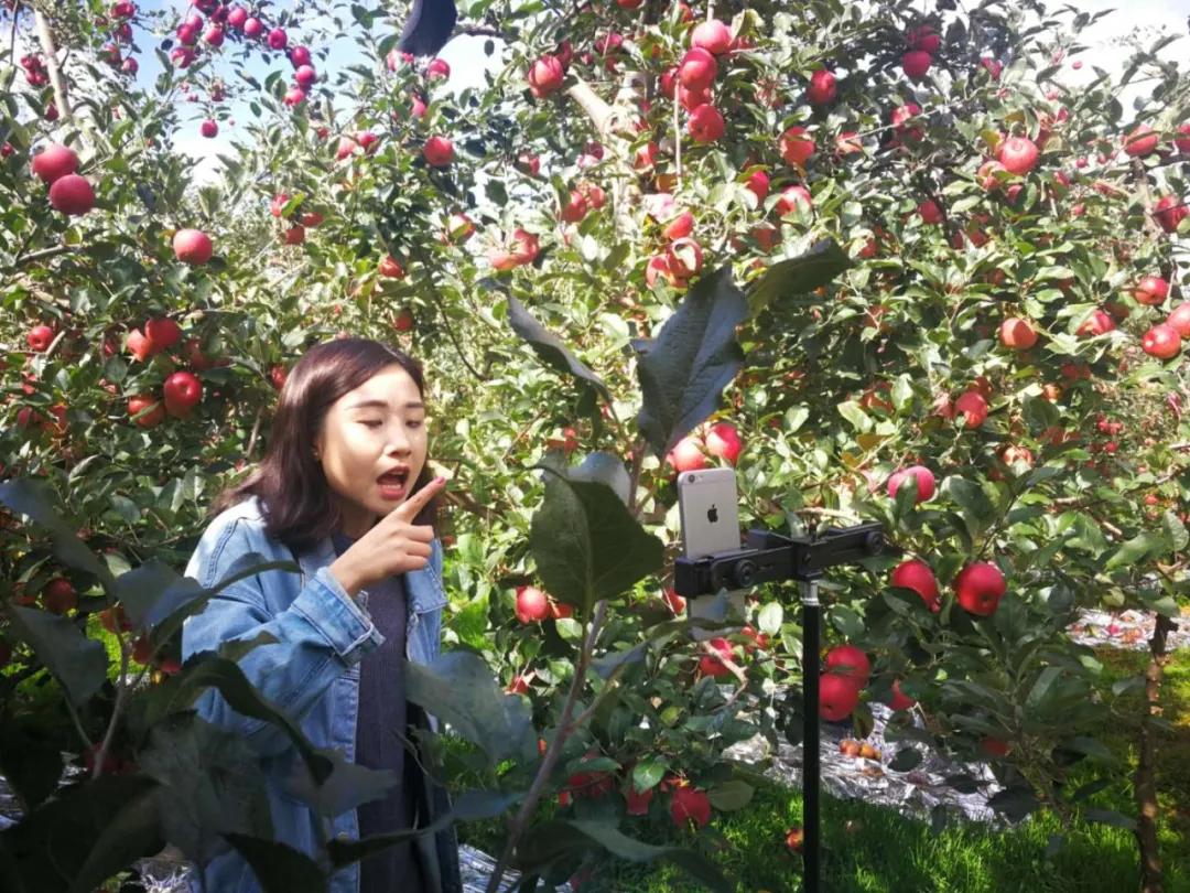 几天吃光6万吨滞销农产品，淘宝吃货：很抱歉以这样的方式出名