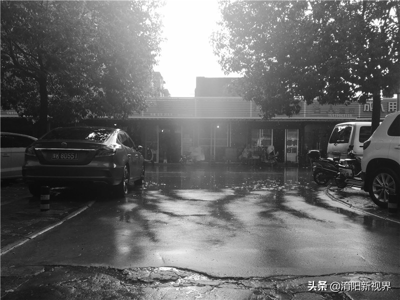 南阳八月七日下午这场雨，说来就来也不给你打个招乎