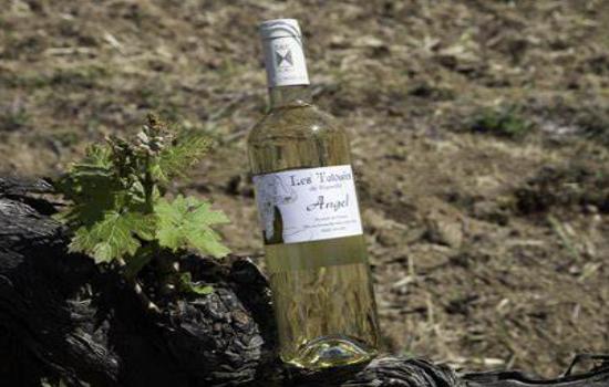 游四方完整版,游四方的视频