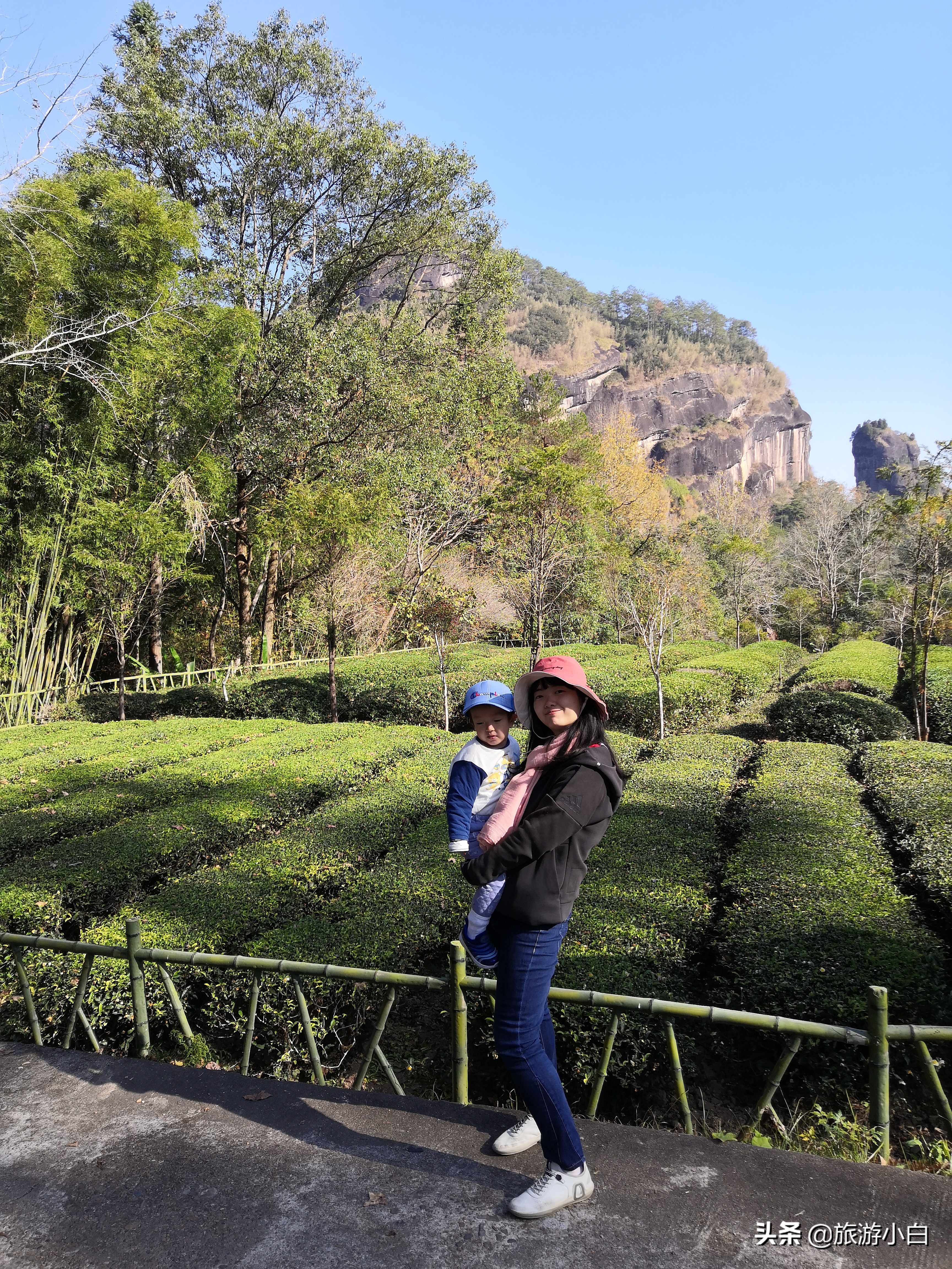 大红袍好看又好喝,品尝大红袍的感受