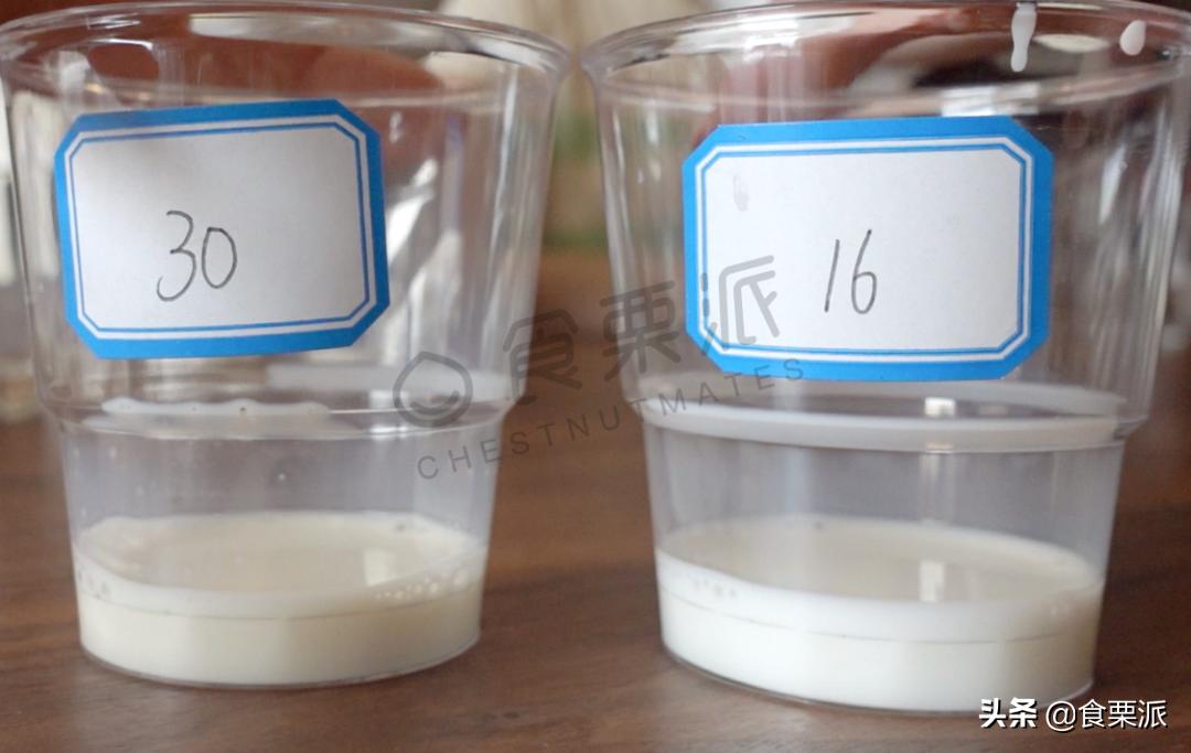 喝了12瓶牛奶,喝过最好喝的一款牛奶