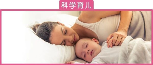 马伊琍清风计划 (清风计划马伊琍)