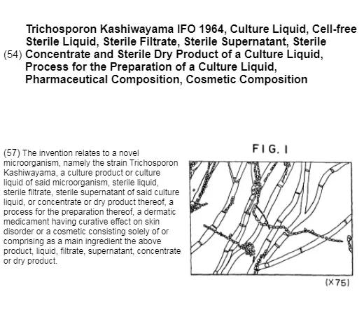 神仙水到底值不值得用,用了一年神仙水后的感受