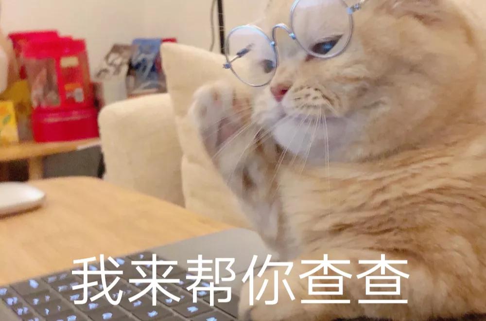 搞笑表情包结尾定格,搞笑表情包告辞