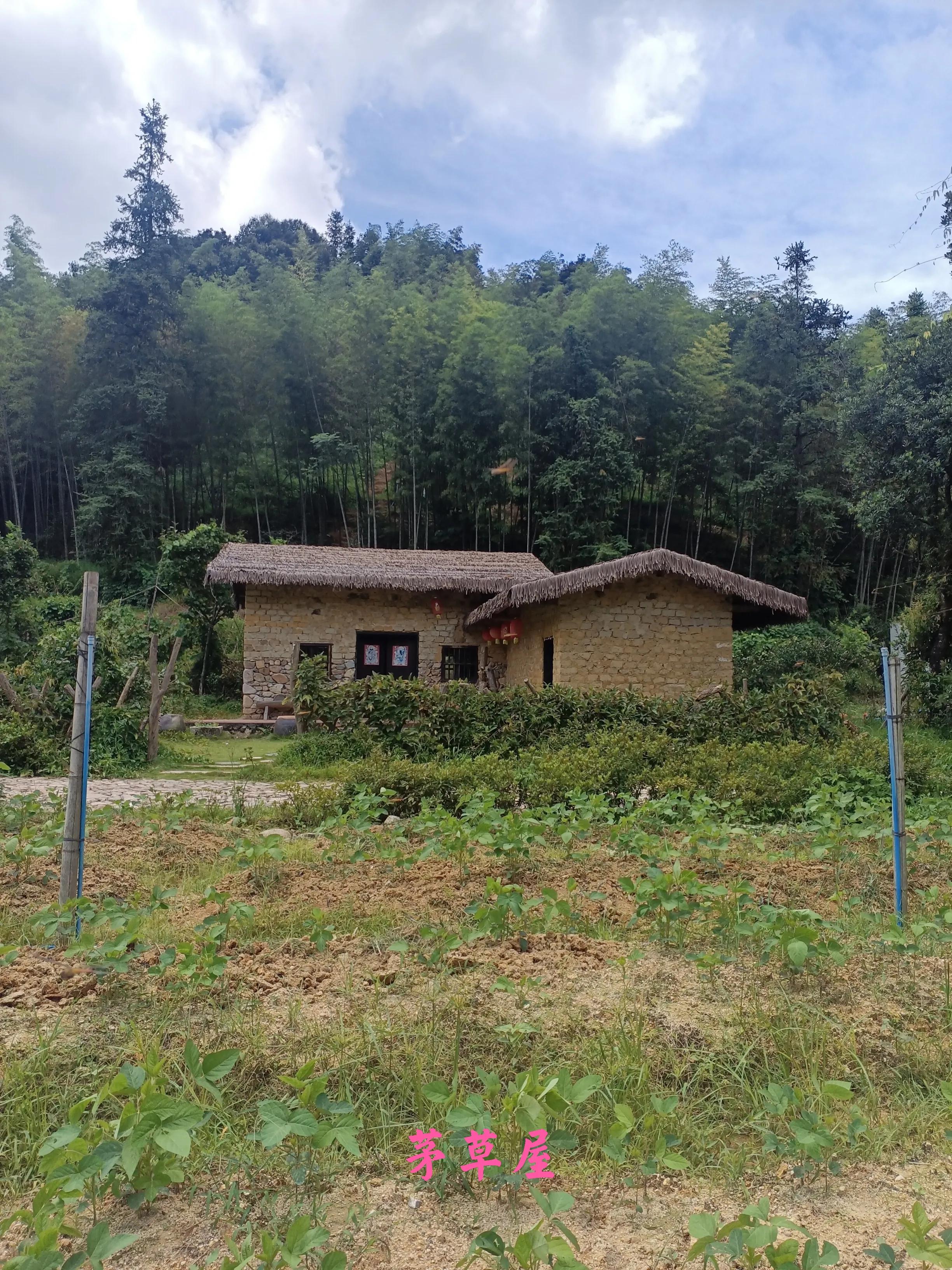 乘公交去乡下:广州海拔最高的村落-阿婆六村