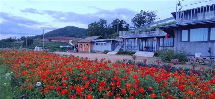 22℃的夏天丨河灯初上夜未央，花海骄艳扑鼻香，这就是富江