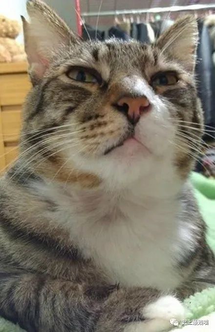 第一次看到把抖m说的这么清新脱俗的...实在太形象了哈哈哈哈哈！