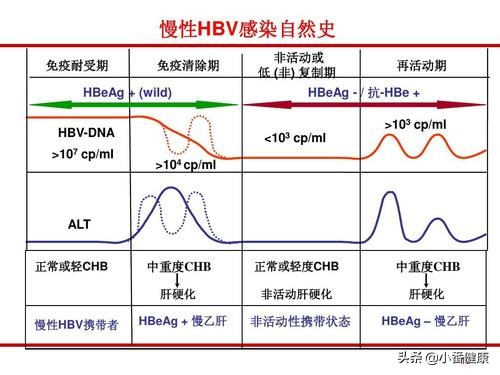 乙肝小二阳不戒酒会病变成什么,乙肝小二阳患者需要注意什么
