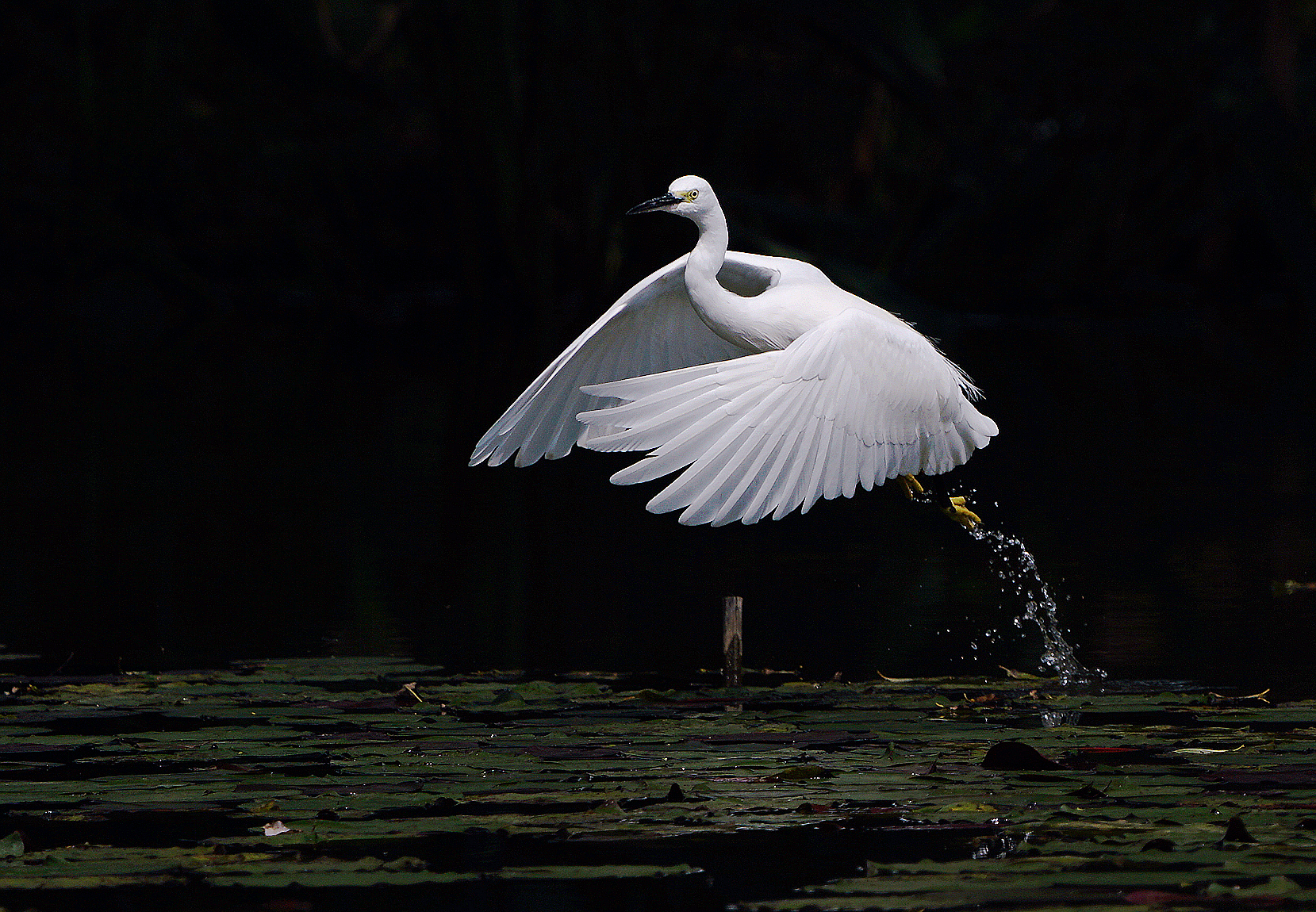 摄影师田晓：从镜头中寻找新感觉