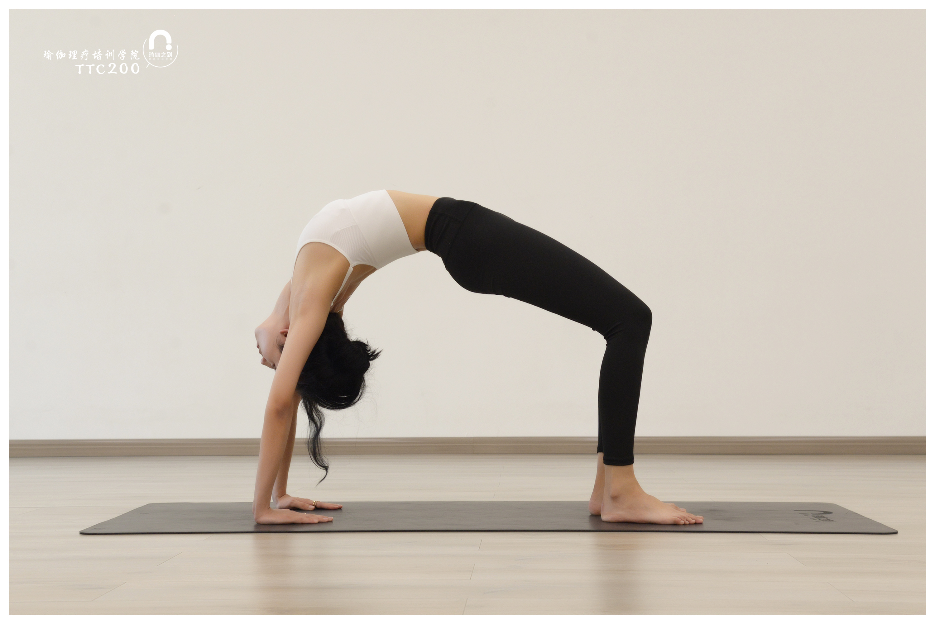 考瑜伽教练证要多少钱有哪些课程,怎么考取瑜伽资格证书