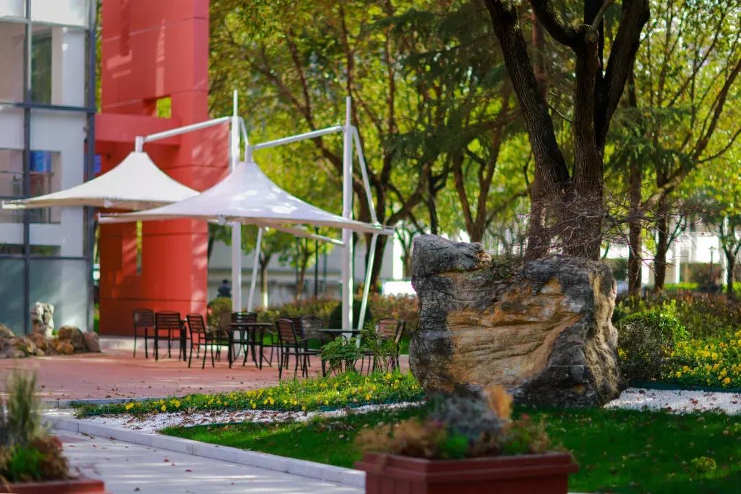 鑻忓窞澶у鏂囨瀛﹂櫌浠嬬粛,鑻忓窞澶у鏂囨瀛﹂櫌鍥剧墖