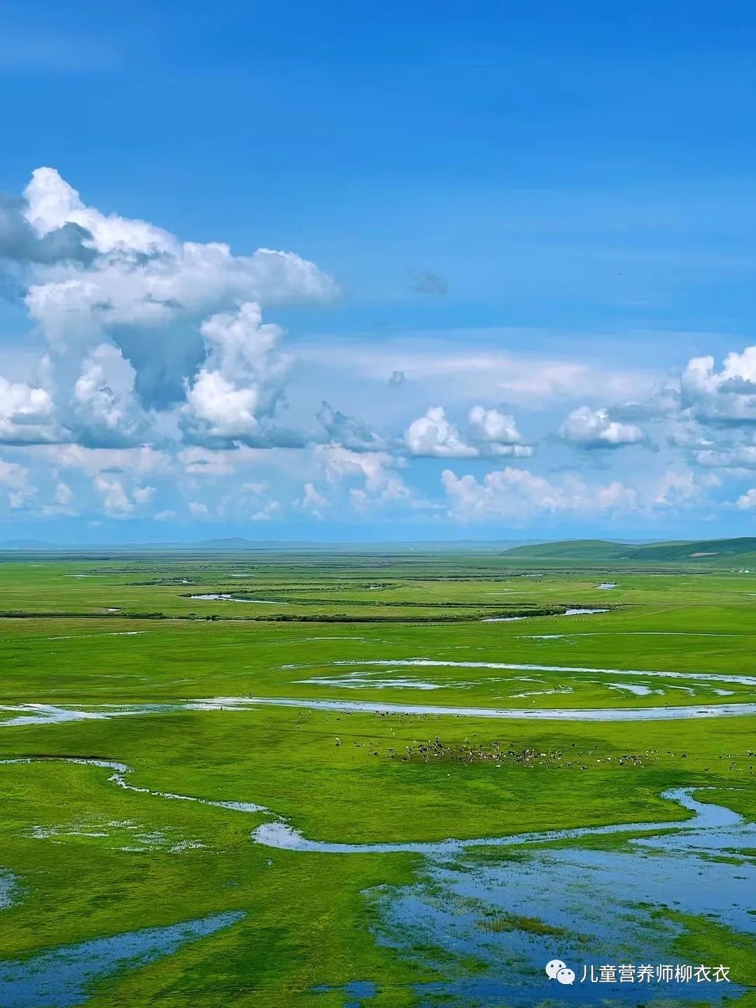 暑假内蒙古旅游攻略亲子,暑假亲子游玩内蒙古5天4夜