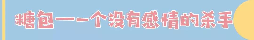 软萌暴击!邯郸这家高颜值猫咖上线,“吸猫”终于提上日程!