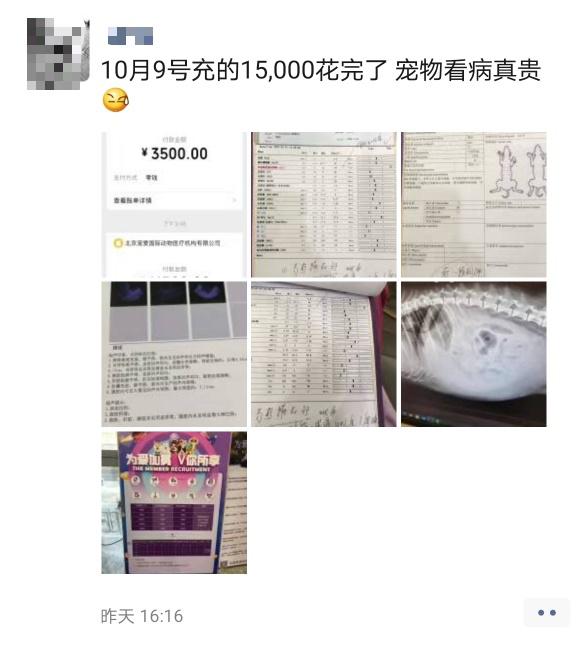 瀹犵墿缁忔祹鐑疆鍚庣殑绁炲吔,鍝簺瀹犵墿鍊煎緱姘噾