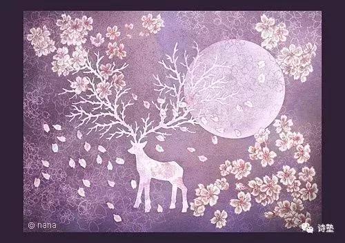 大自然的诗篇,写给大自然的一封信