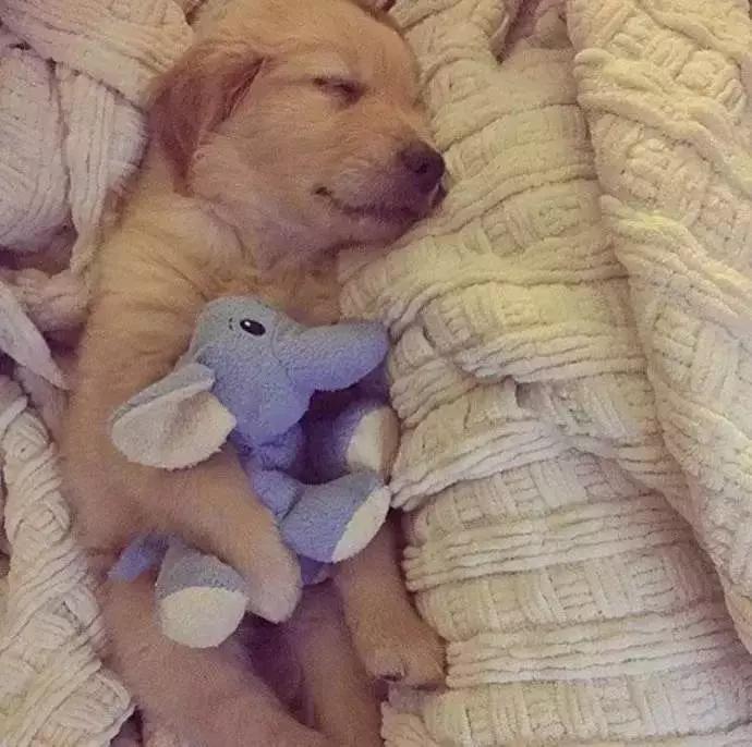 谢谢你治好了我的心脏,谢谢你治好了我的低血压