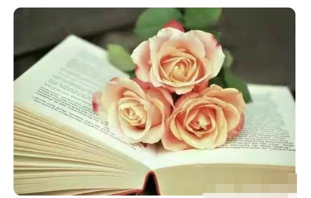 教师节学生送的鲜花被老师扔,教师节鲜花被学校扔掉