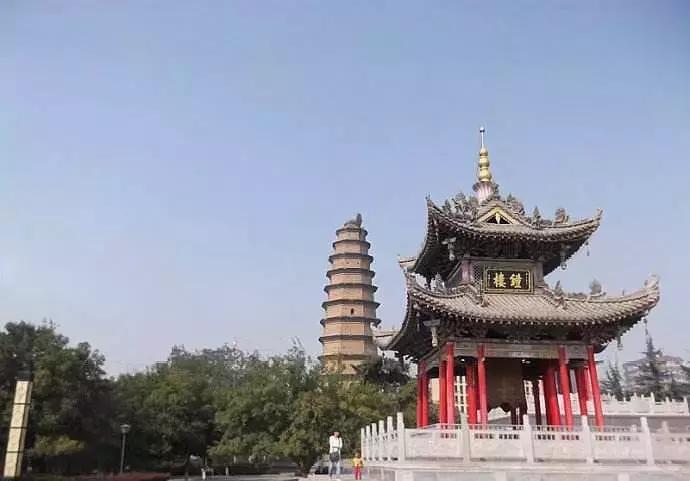 冬天来合阳,赏万顷芦荡,候鸟齐飞(组图)