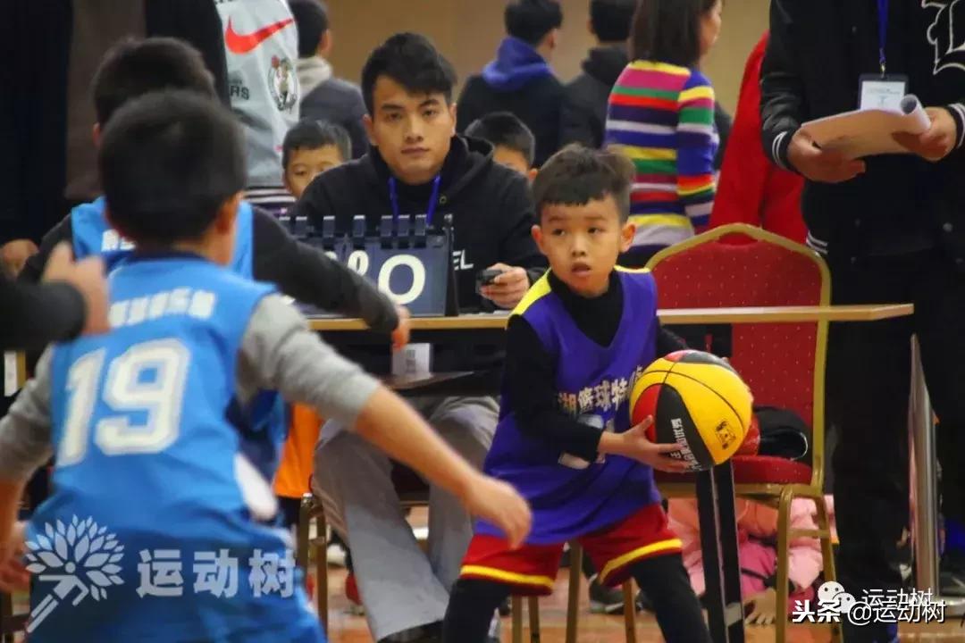 中国篮球名宿走进学校,中国篮球名宿26分