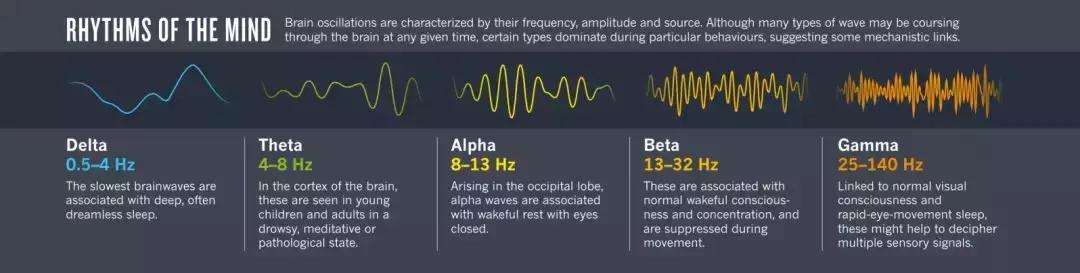 神奇的“光治疗”——药物研发窘境下阿尔兹海默症的治疗探索
