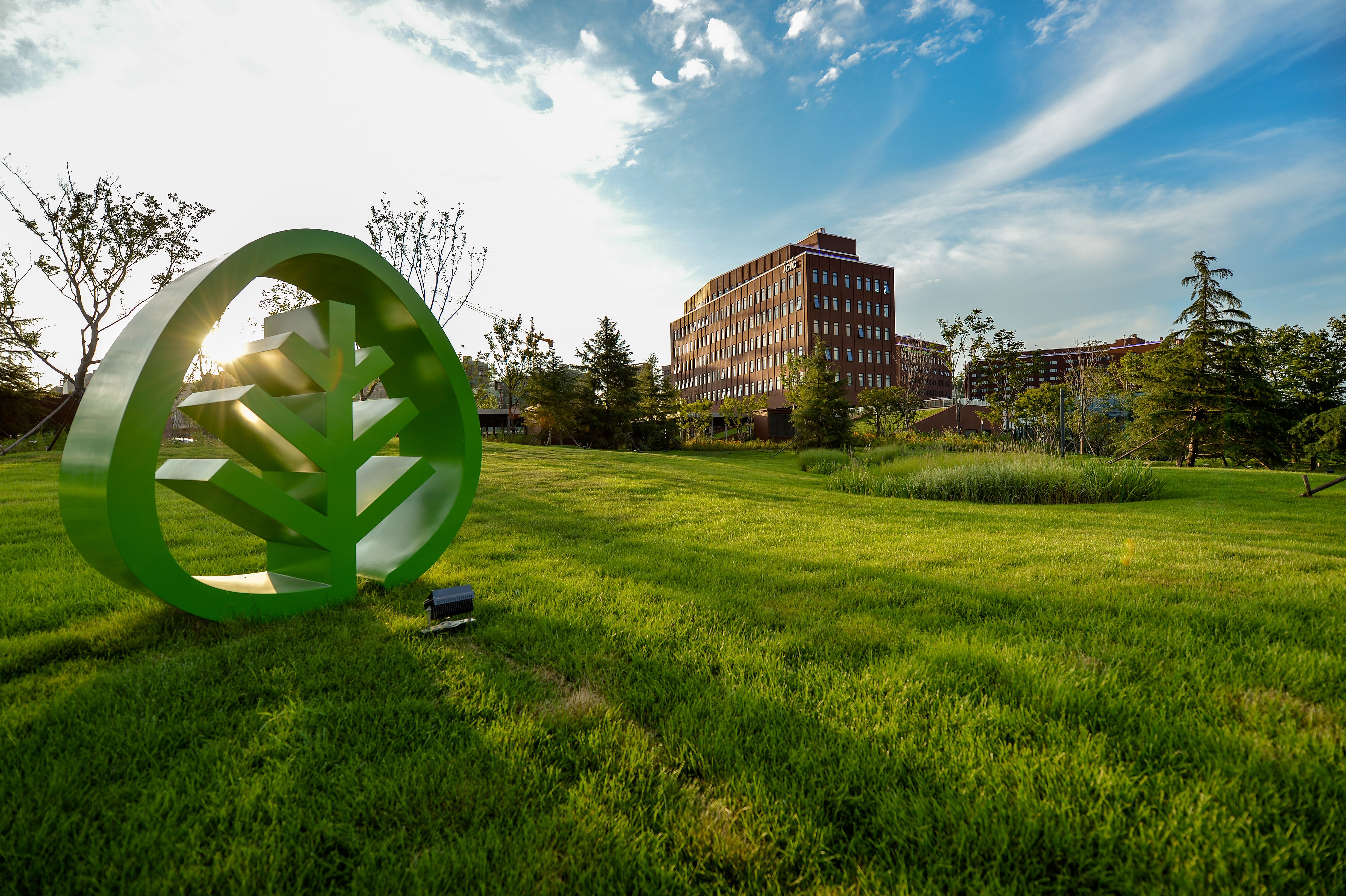 青岛西海岸新区成立时间,青岛西海岸新区开业了吗