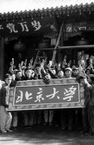 北大教授季羡林怎么样,北大教授季羡林的毕生理想