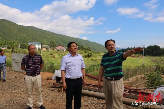 待到山花烂漫时诗文,待到山花烂漫时革命英烈