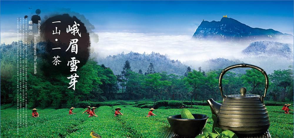 峨眉山景区的峨眉雪芽,峨眉雪芽简介