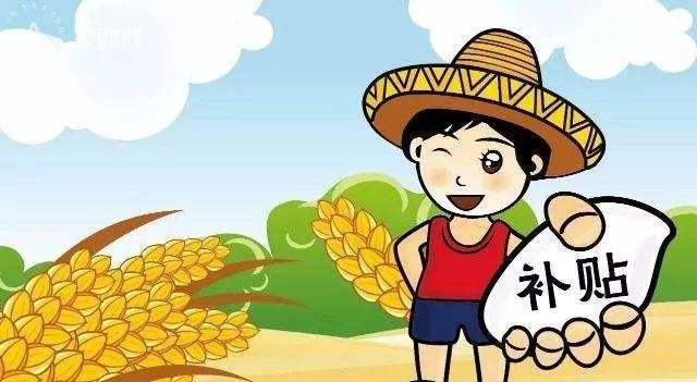 黑龙江粮食直补2021年的发放时间,粮食直补问题哪个部门处理