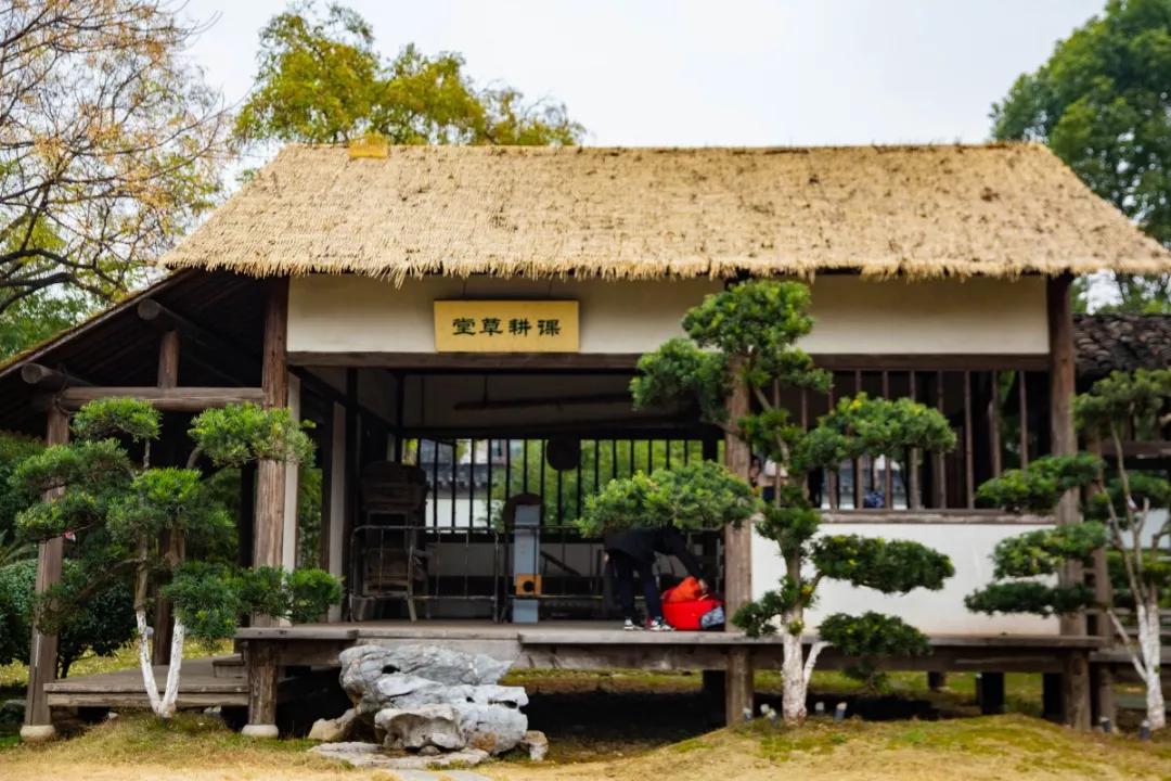 南京腊梅最佳观赏时间,南京赏梅花景点推荐