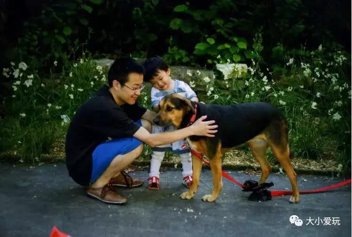 在瑞士带娃,在瑞士带孩子