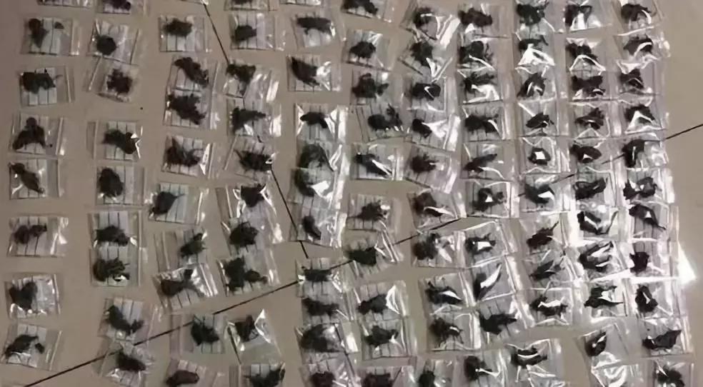 关于工业大麻合法化事件,美国工业大麻合法化对市场的影响