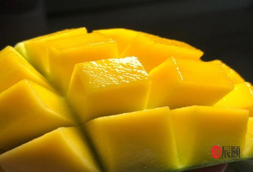 辰颐物语代理怎么加盟,辰颐物语代理方法