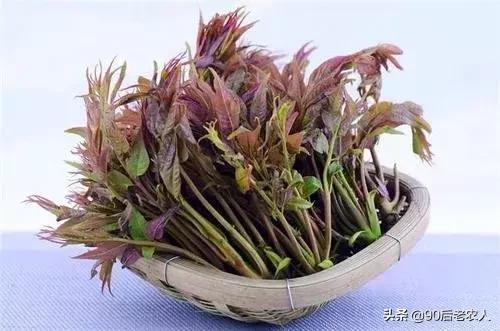 比较适合在农村创业的项目有哪些,在农村创业哪些项目最适合做