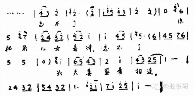 荆生彦板胡视频,荆生彦板胡演奏视频