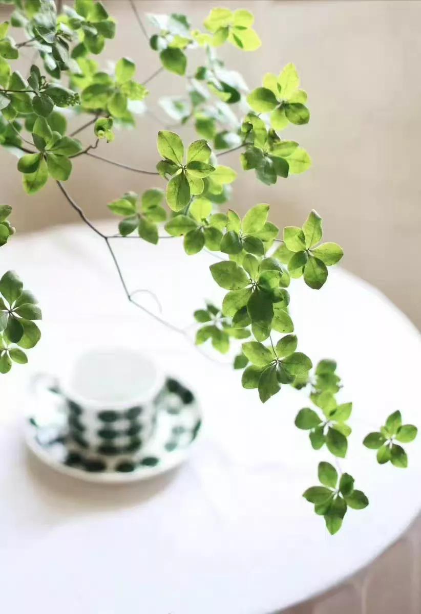 日本吊钟花:植物界的爱马仕