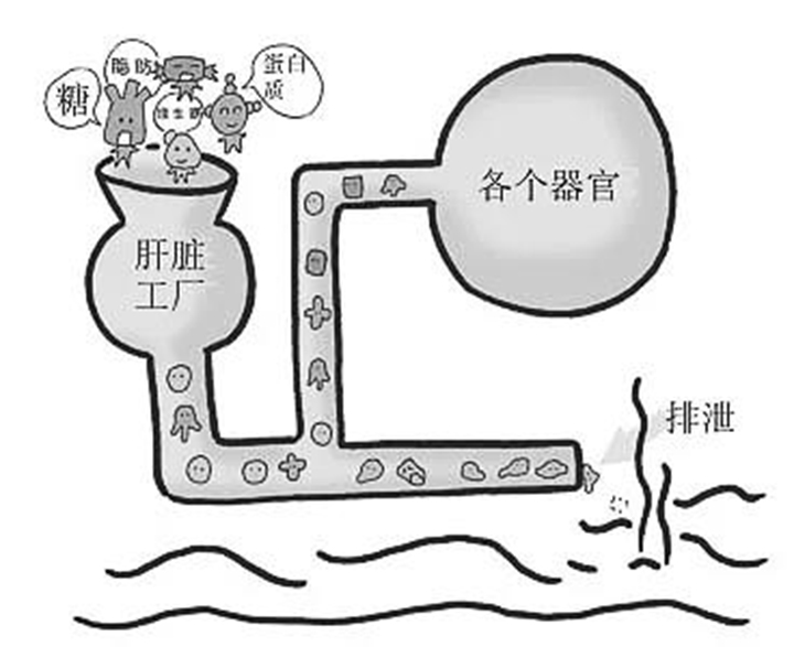 跑步和动感单车算不算练腿,动感单车和跑步哪个瘦腿