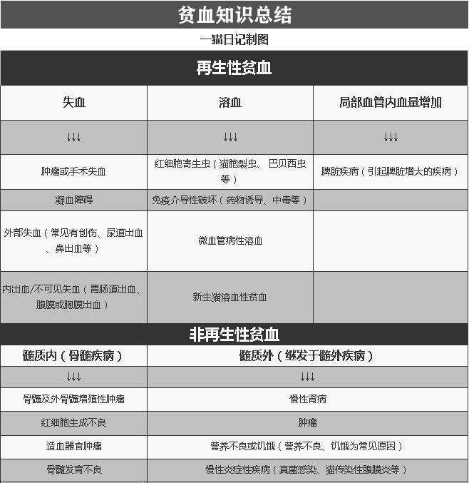 猫咪不良习惯可以训练好吗,猫咪不良行为视频