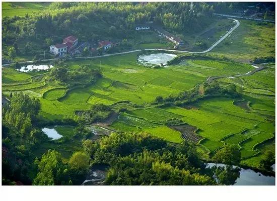 湖北38座城市公园数量排名,湖北有多少园林城市