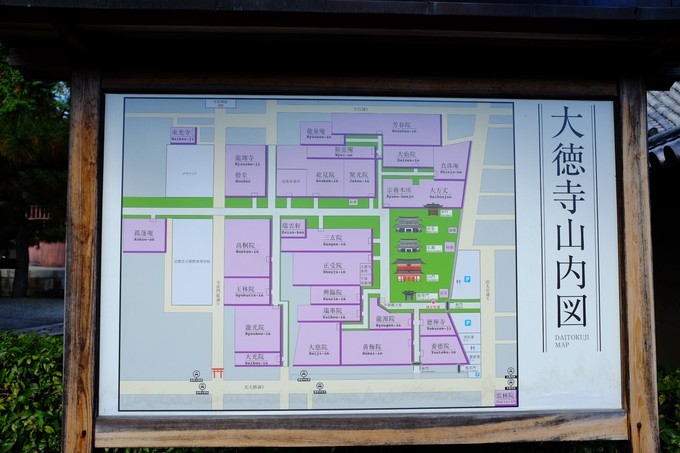 京都赏枫2022,京都赏枫必去景点有哪些好玩的