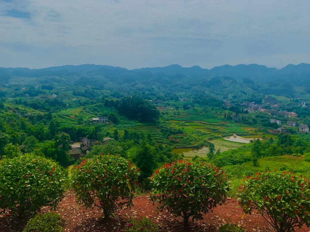 鏆戞湡绀句細瀹炶返骞垮畨,骞垮畨绀句細瀹炶返娲诲姩