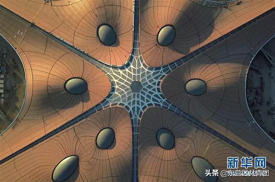 这也太牛了赞,这也太努力了表情包