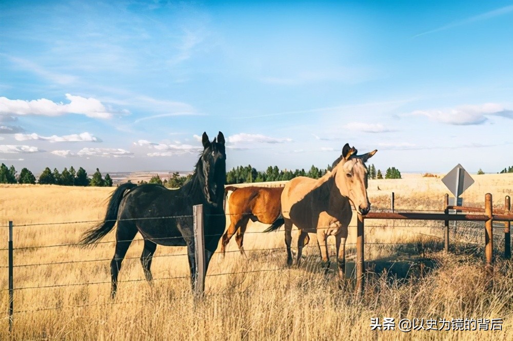 人均GDP8.7万美元、科技发达的俄勒冈州,美国怎么占领这里的