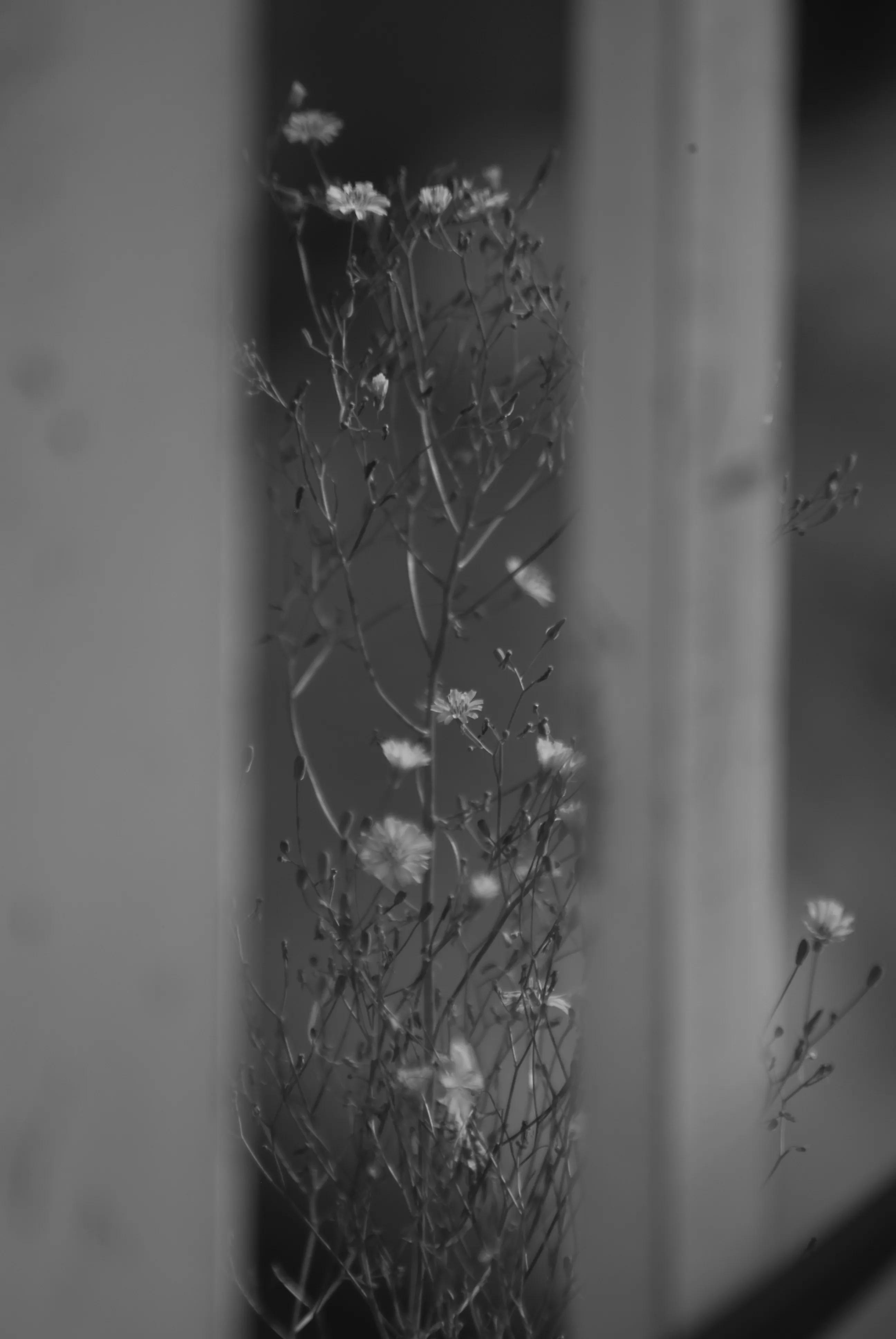 1000多的二手单反值得买吗,1000元左右二手单反全画幅