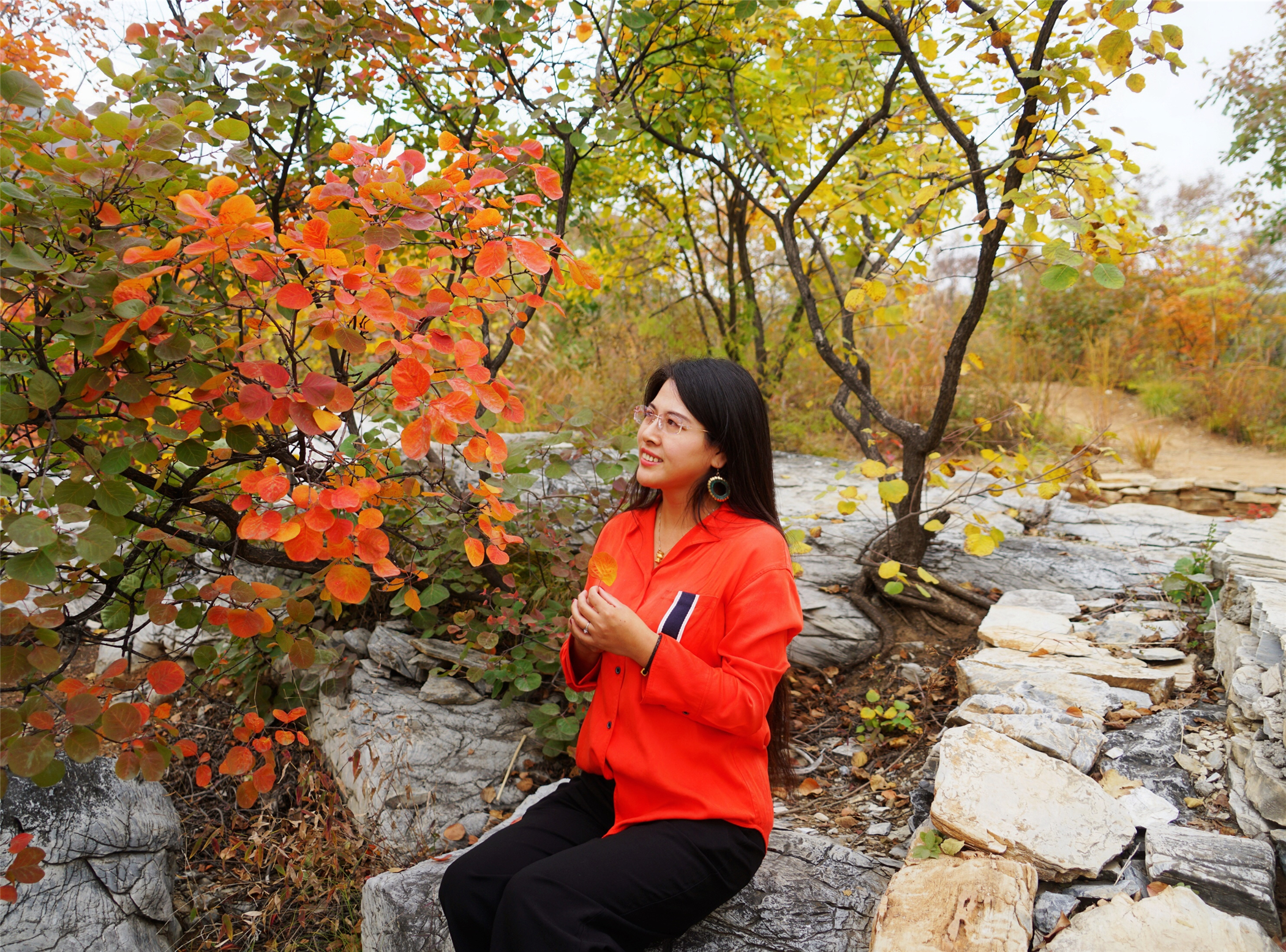 赏红叶最佳目的地,房山坡峰岭红叶最佳观赏
